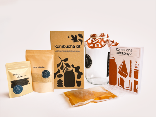 Kombucha készítő szett Korty Kollektíva